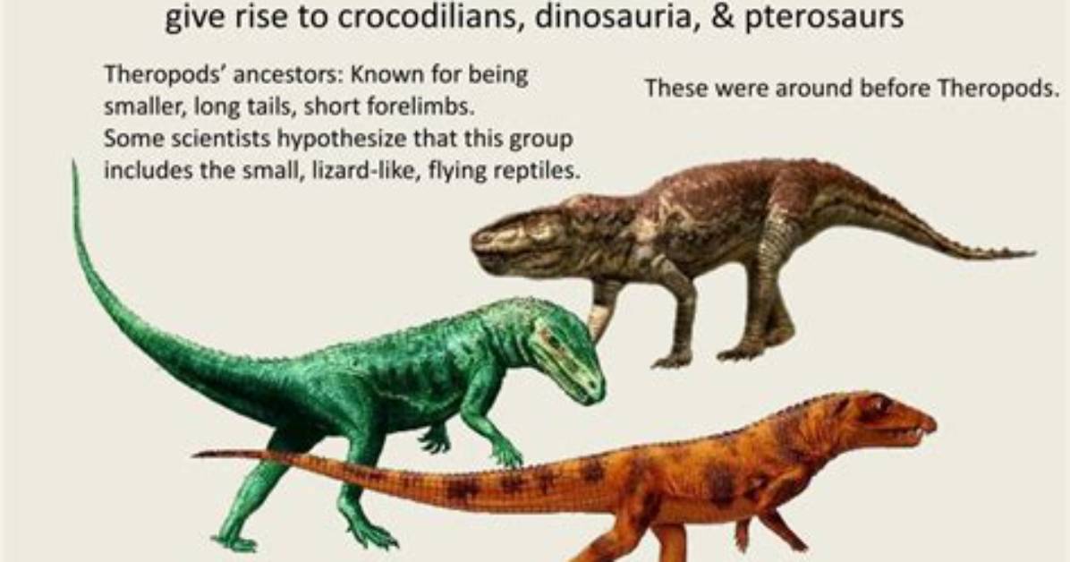 Thecodonts