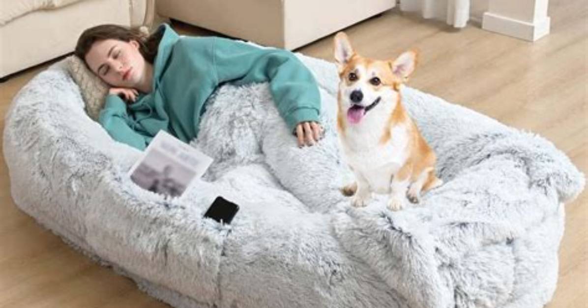 Tiktok Human Dog Bed on Amazon 2024