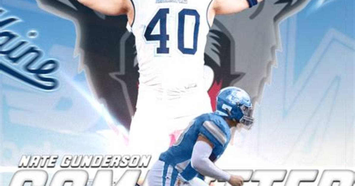 Tj Porter