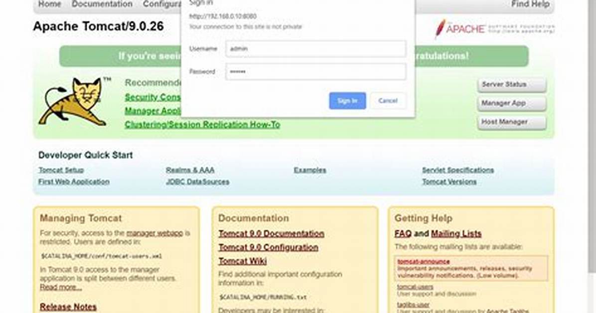 Tomcat Manager/Html Is Not Available?