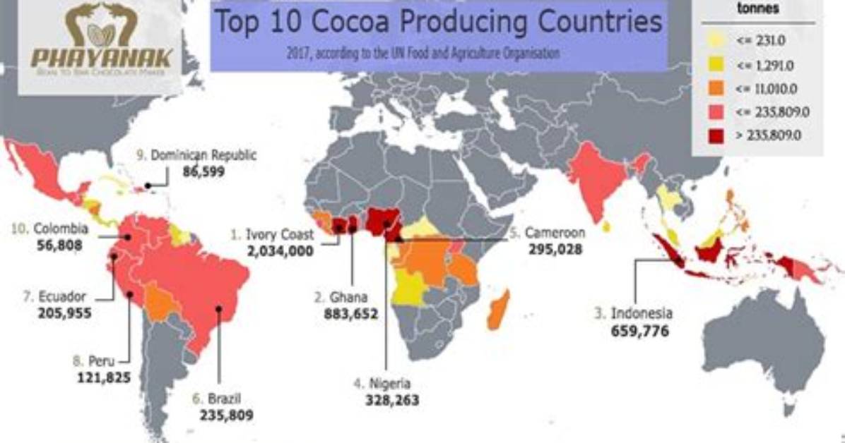 Top 5 Cocoa-Producing Countries in Africa