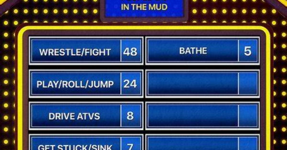 Top 7 Something People Complain About-Answers