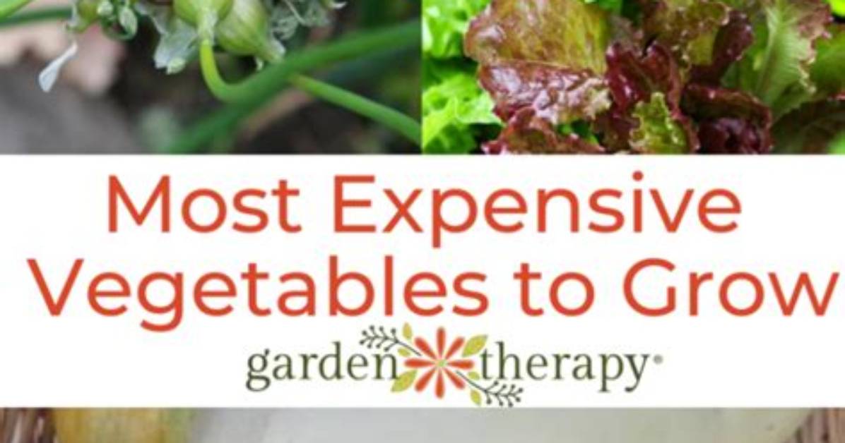 Top 7 Vegetables You Expect to See in Chinese Food: -Answers