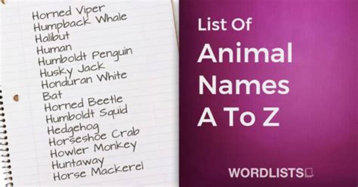 Top 7 Words Containing Animal Names-Answers