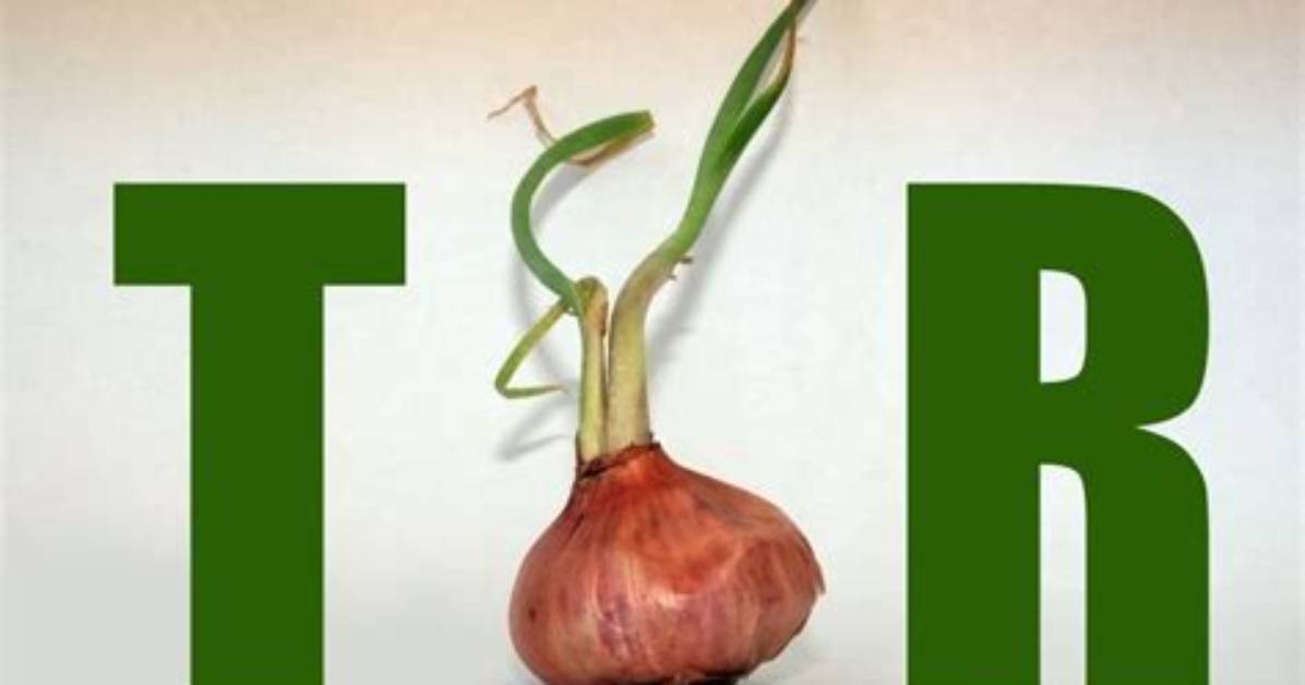 Tor Will Fix Long-Lasting Dos Vulnerability