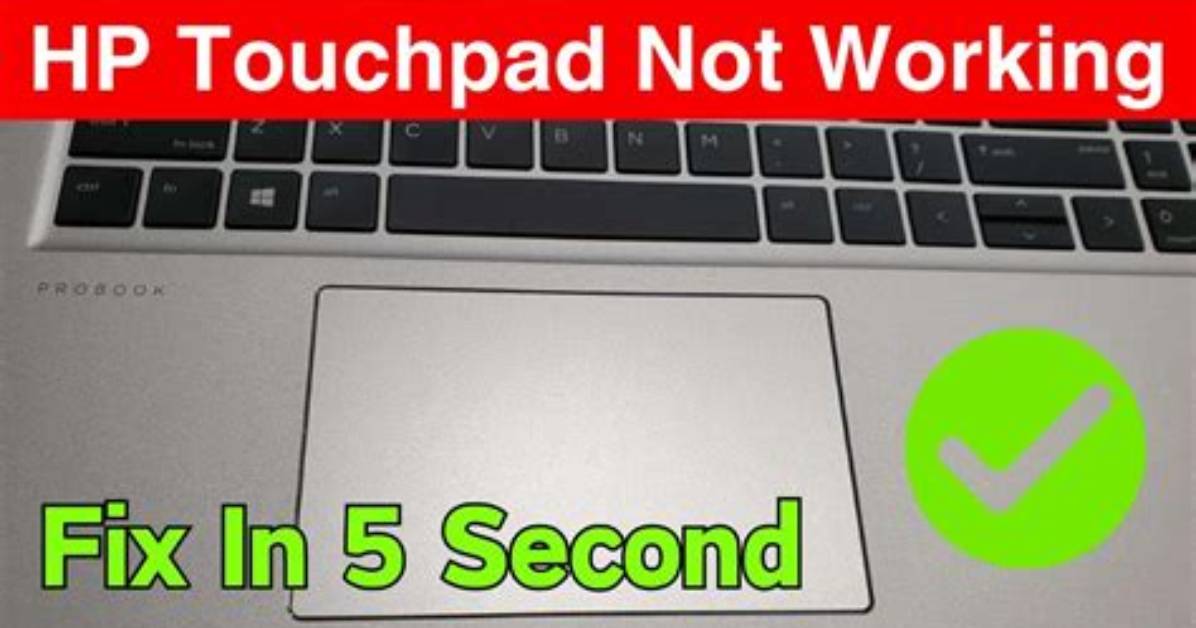 Touchpad Scroll Not Working on Hp Pavilion Dm3 Laptop [Closed]