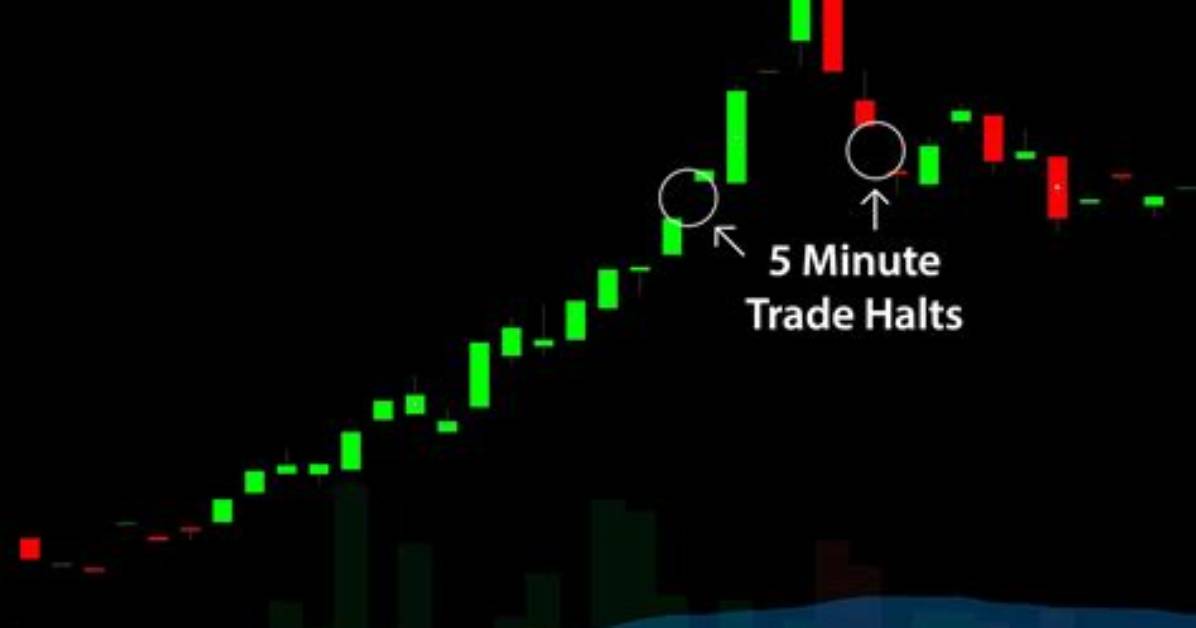 Trading Halt - How to Discuss