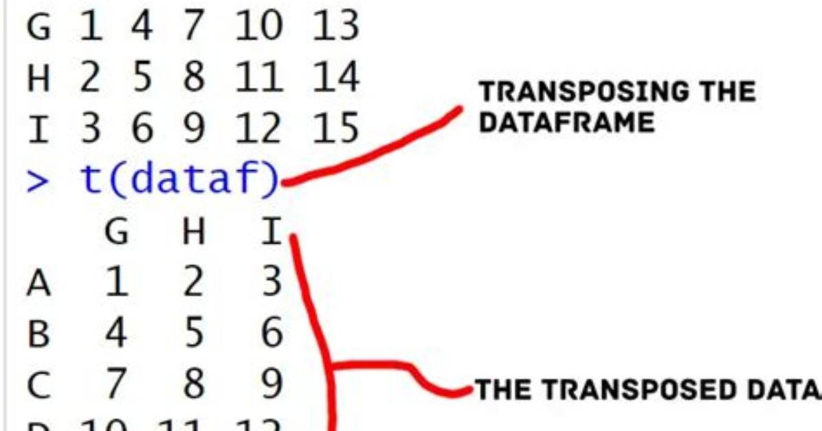 Transpose a Data Frame