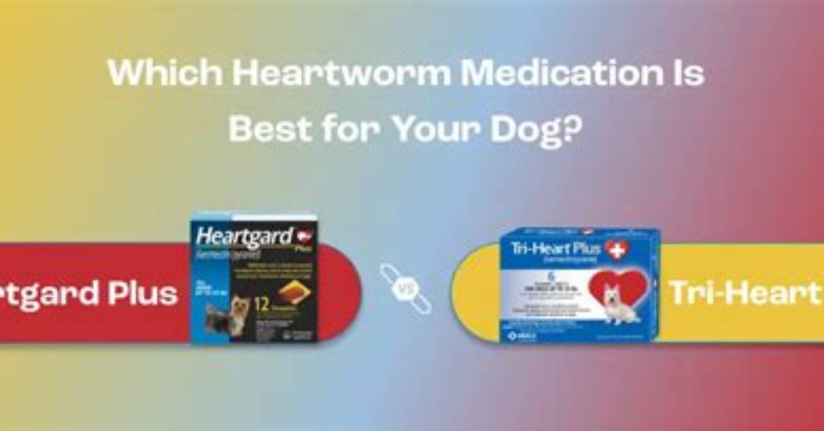 Tri Heart Plus vs Heartgard Plus