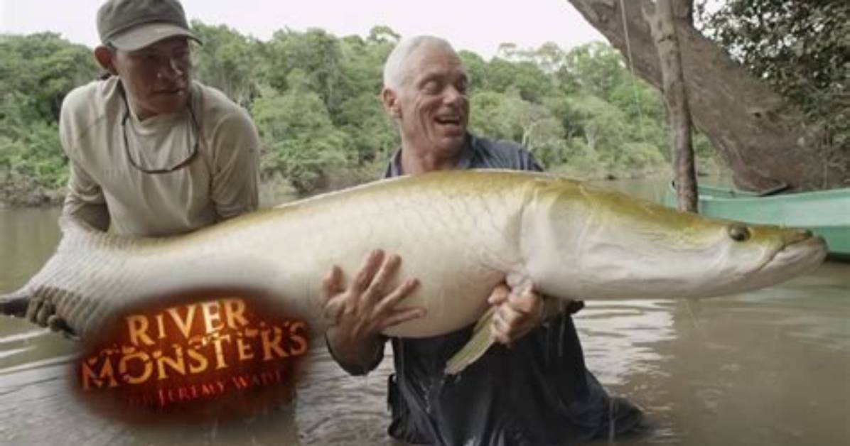 Tropic Monsters Tv Net Worth, Income and Estimated Earnings of Youtuber Channel