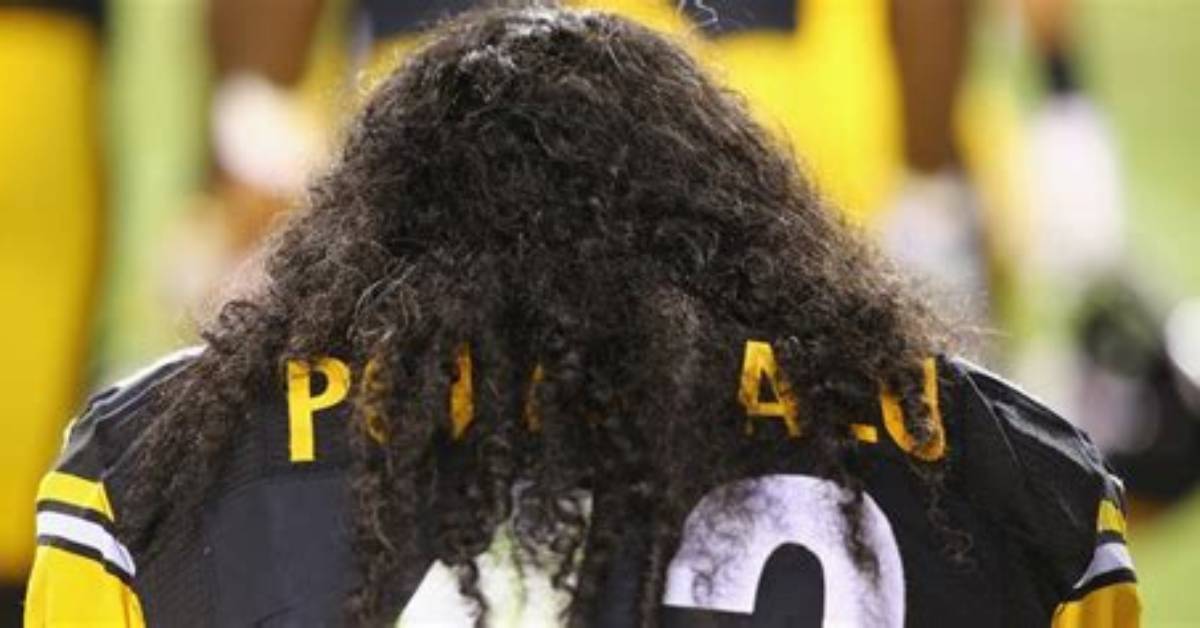 Troy Polamalu Retires - Health & Sports News