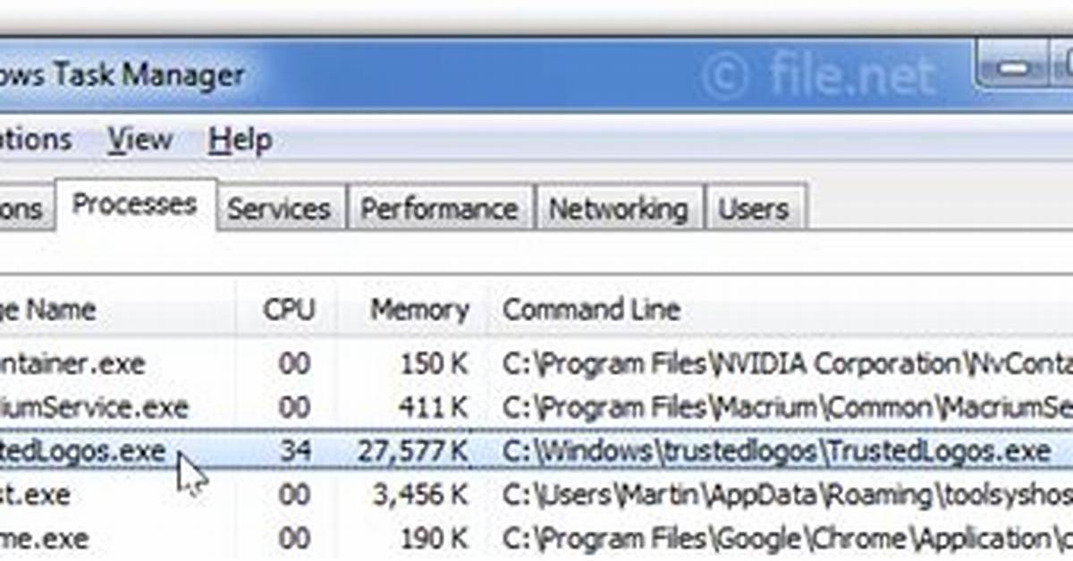Trustedlogos. Exe File. How to Remove Trustedlogos. Exe?