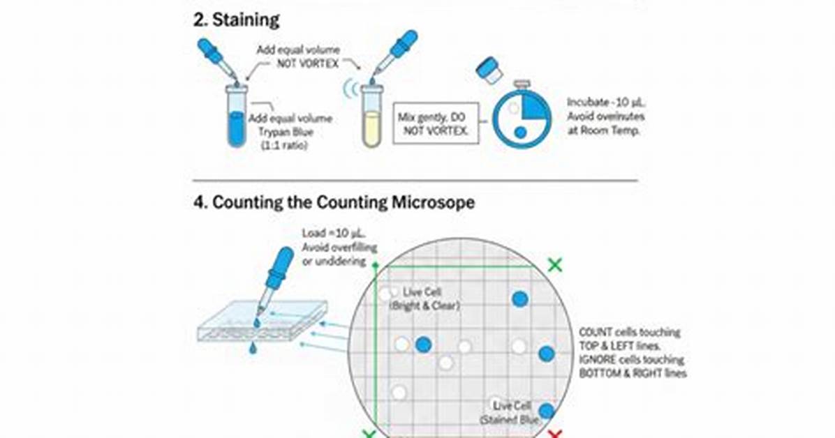 Trypan Blue Exclusion Method