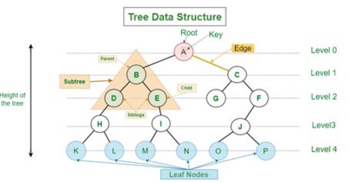 Tutorial for Tree Data Structure in C