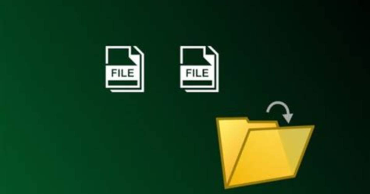 Two Files with the Same Name in the Same Folder