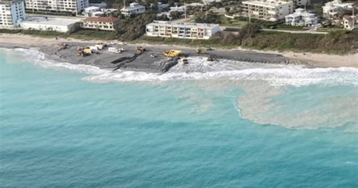 Two Spring Breakers Bitten by Sharks. Incidents May Be Linked to Large Shark Migration, Expert Says