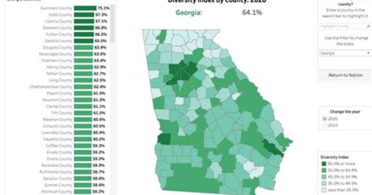 U. S. Census Demographics Georgia Interactive Map