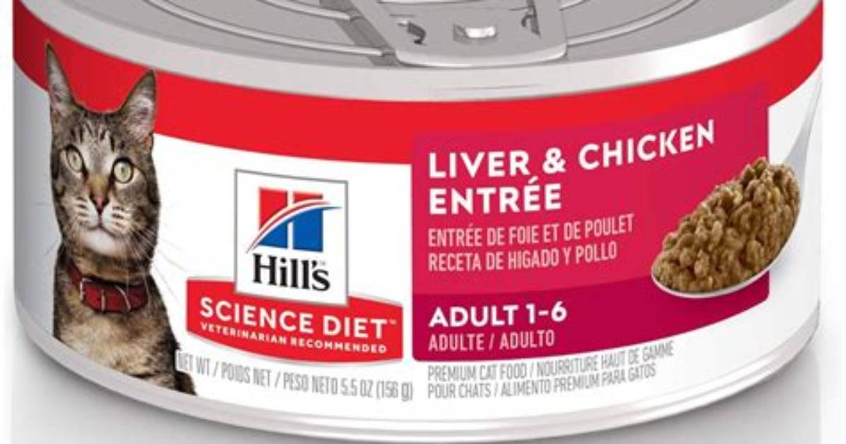 Ultimate Guide to Science Diet Canned Cat Food: Nutrition, Benefits, and Reviews