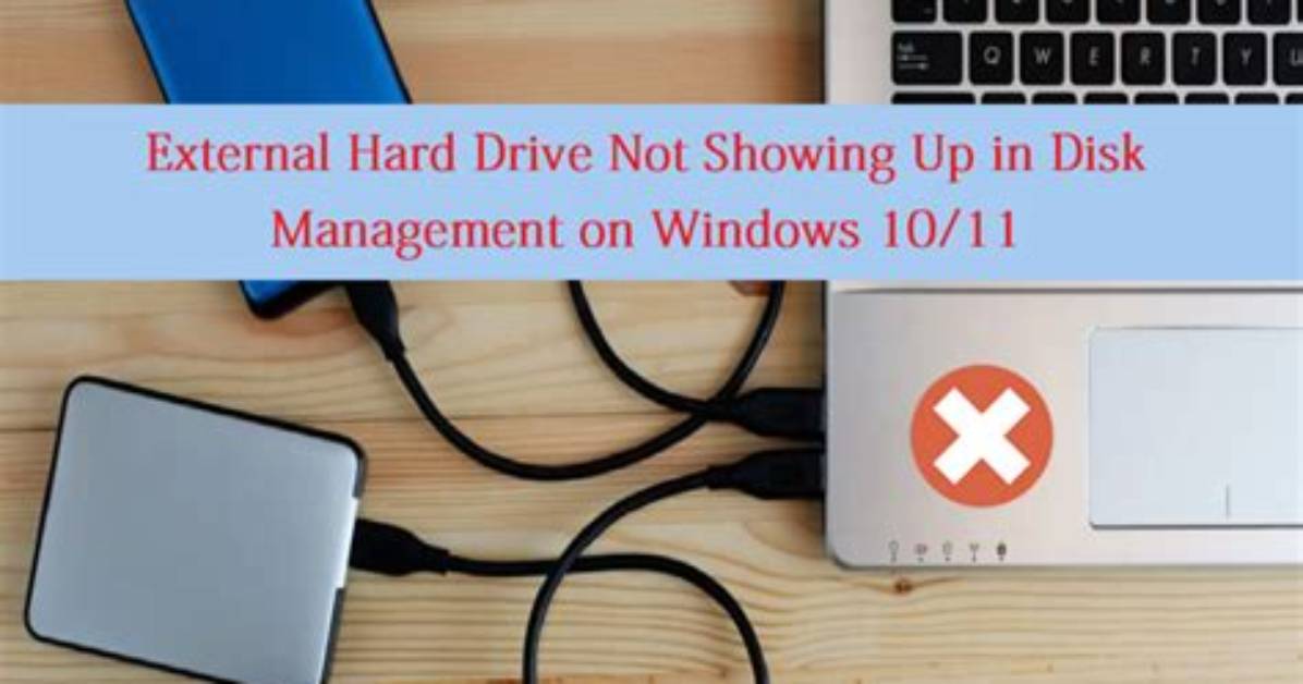 Unable to Access External Hard Disk Drive in Windows Xp