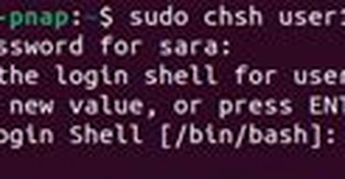 Unable to Run Command Chsh -S /Bin/Bash ${Username}