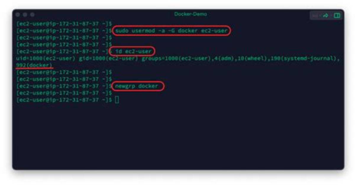 Unable to Use Sudo Commands Within Docker, "Bash: Sudo: Command Not Found" Is Displayed