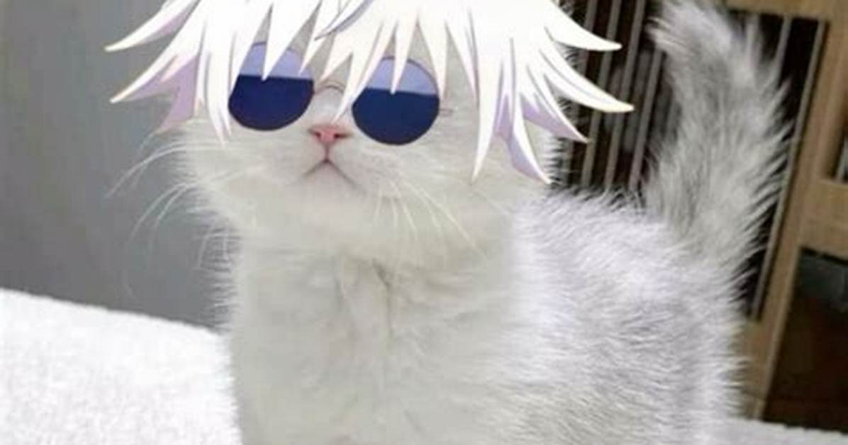 Understanding Cat Gojo: the Intriguing World of Gojo's Cat