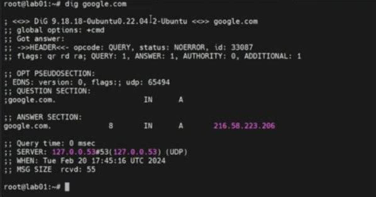 Understanding 'Dig Google. Com' Command