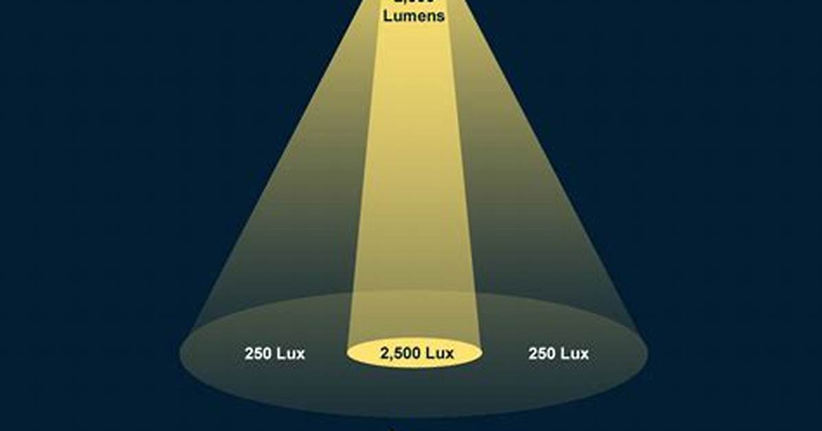 Understanding Lux Pasc: a Comprehensive Guide to Its Impact and Significance