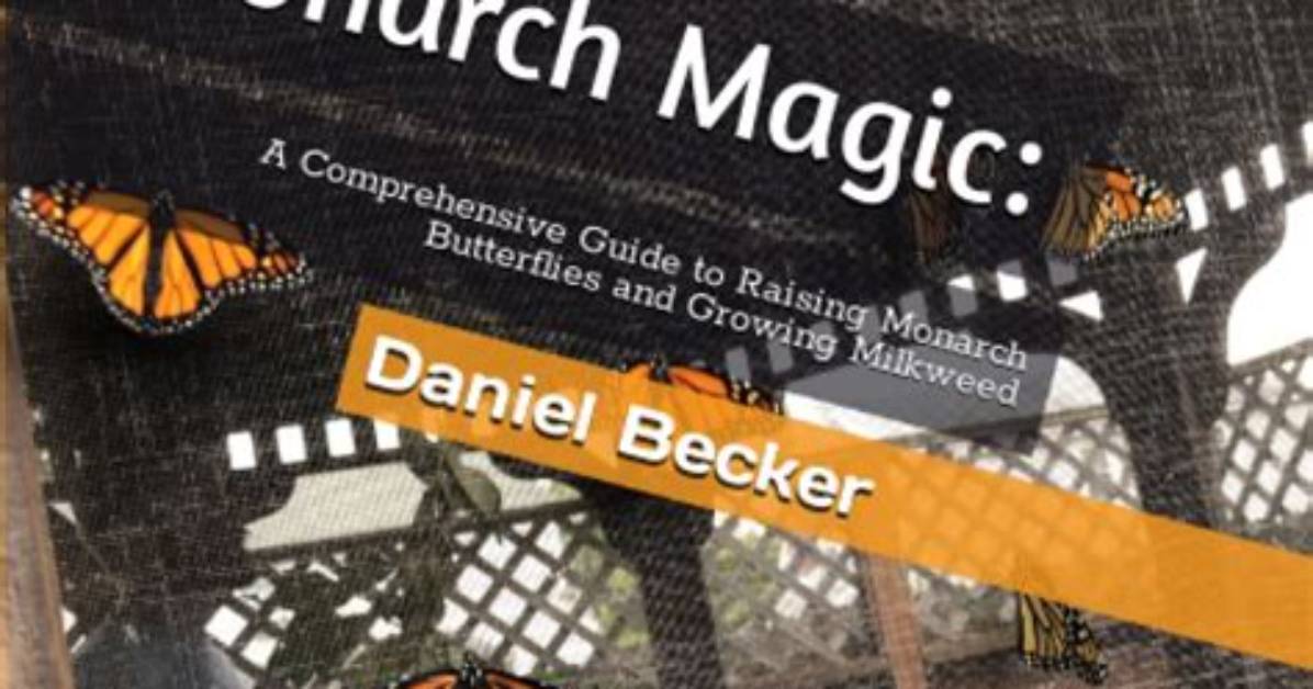 Understanding Monarch Aet: a Comprehensive Guide to the Concept and Its Implications