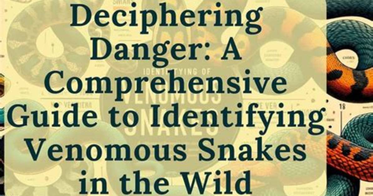 Understanding the Venom Reference: a Comprehensive Guide