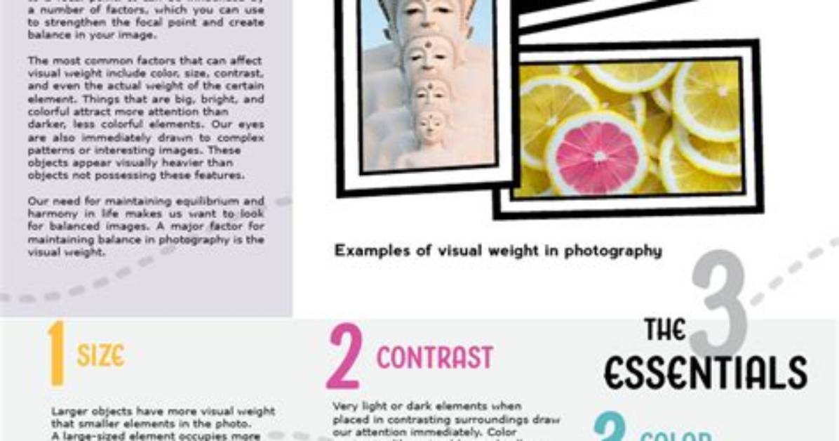 Understanding the Visual Weight: What Does 800 Pounds Look Like?