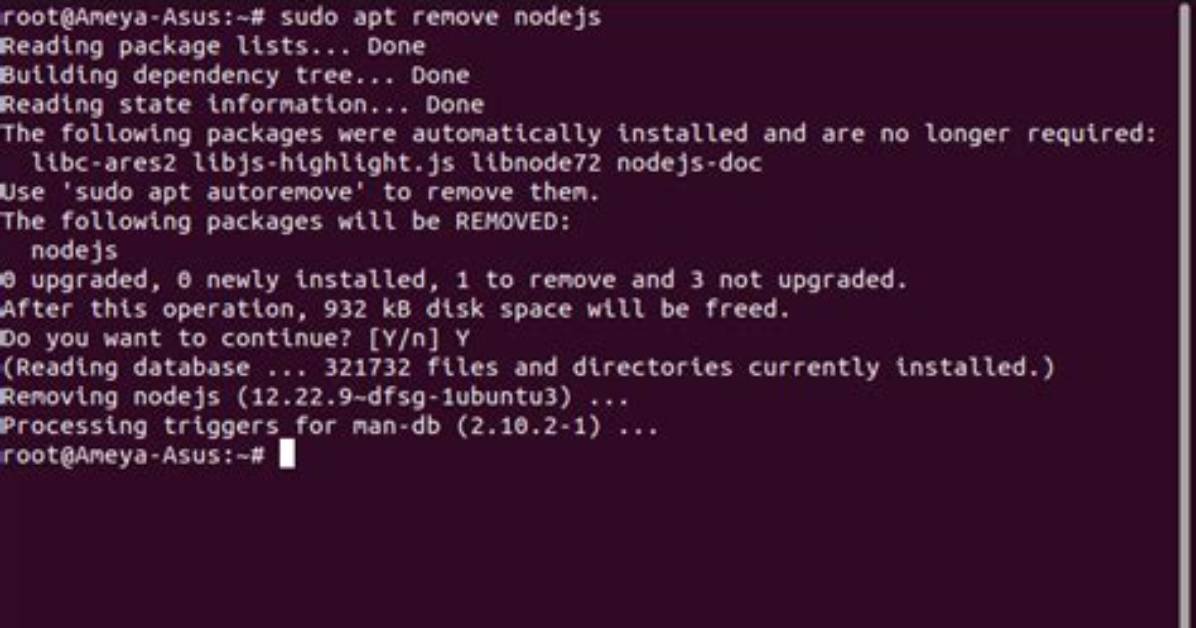 Uninstalling the Currently Active Version of Node. Js with Nvm