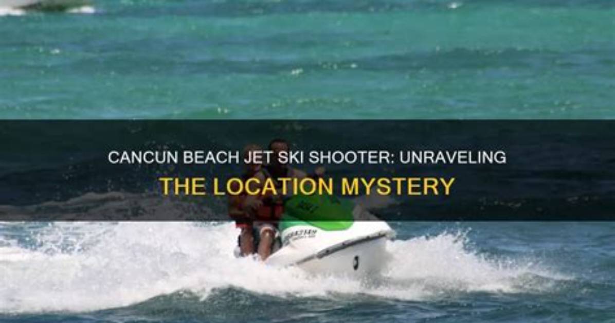 Unraveling the Mystery of the Lincoln Beach Alligator Attack