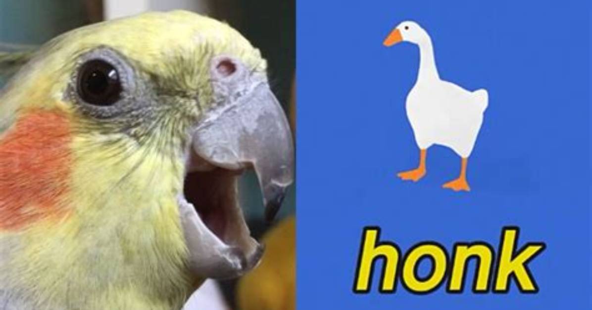 Untitled Goose Game Meets Alex the Honking Bird in an Adorable Honk-Off