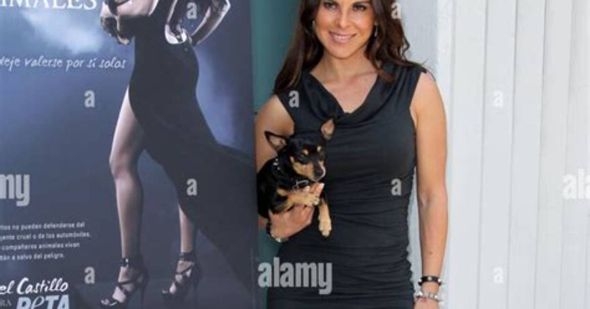 Unveiling Kate Del Castillo: a Look at Her Measurements and More