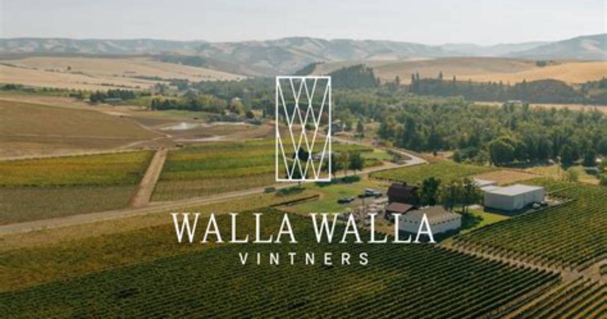 Unveiling the Enigmatic Thief Walla Walla: Discoveries and Insights