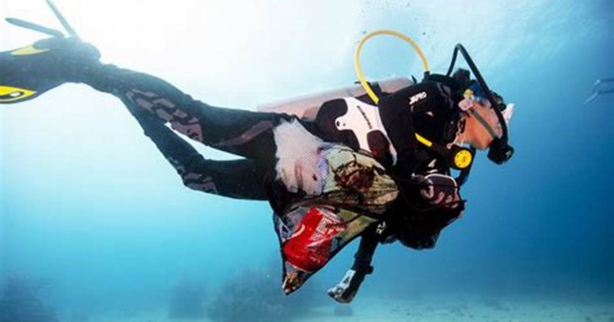 Unveiling the Truth Behind the Split Diving Incident Video
