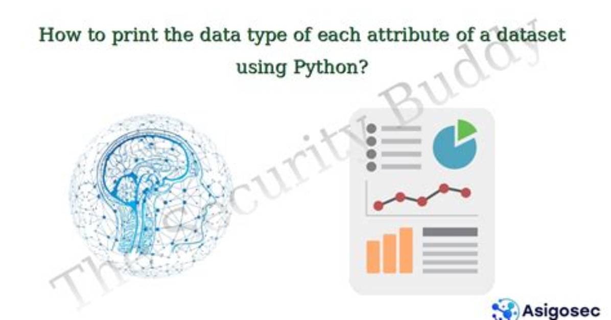 Use Simplemma on Whole Dataset in Python