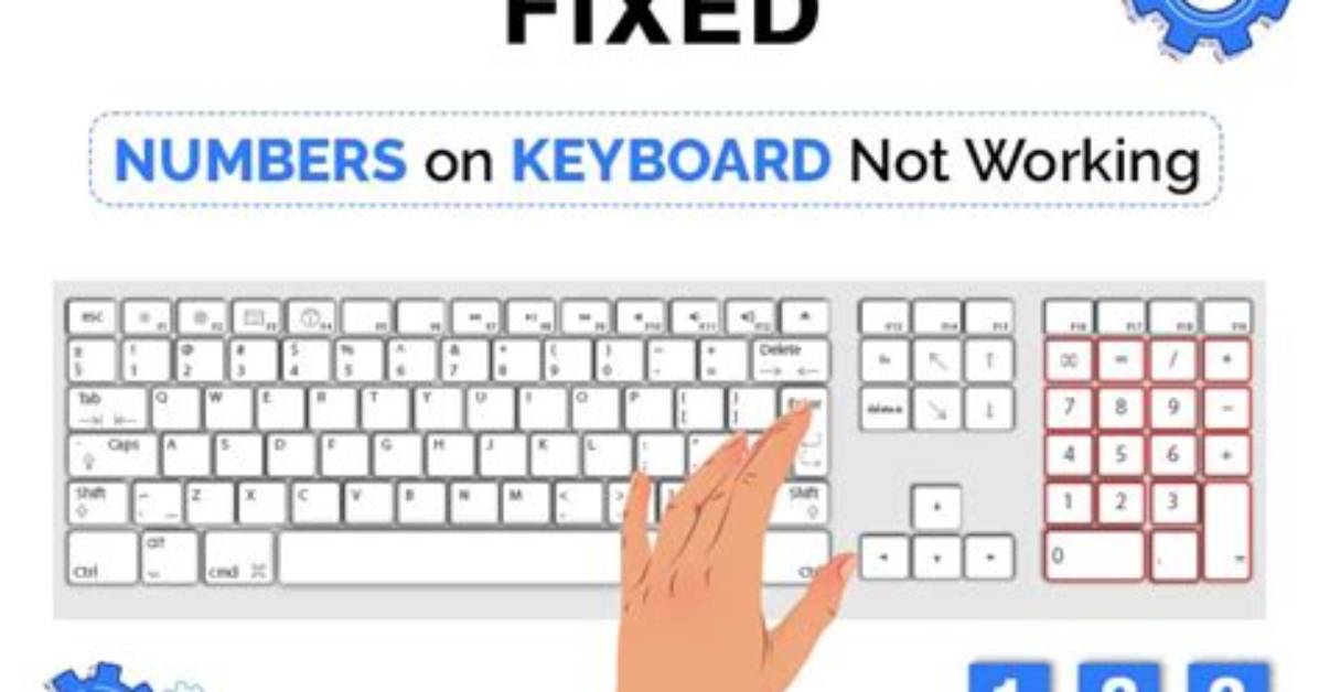 User Input Not Working with Keyboard. nextLine() and String (Java)