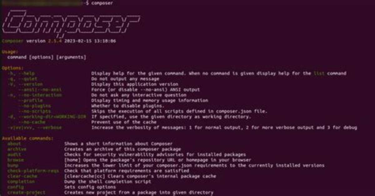 Using Composer Command