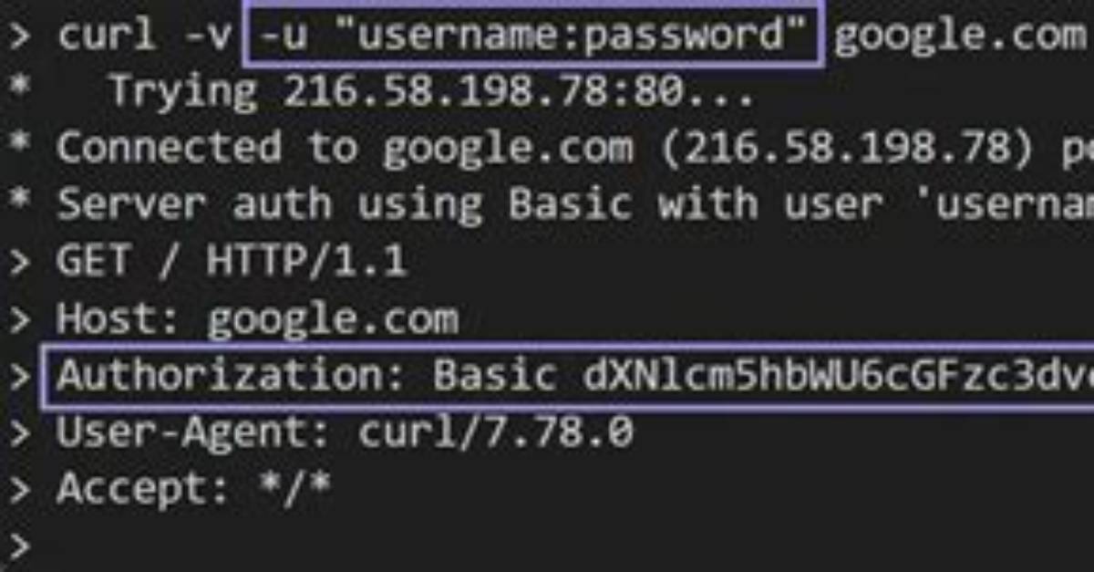 Using cURL with a Username and Password?