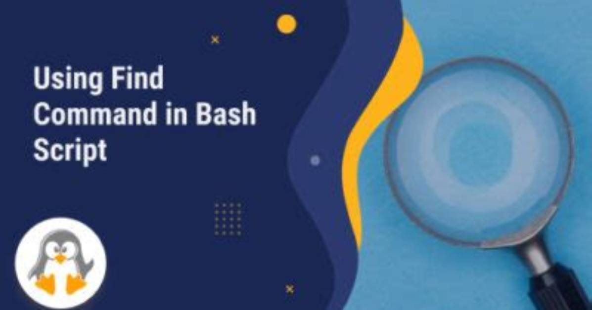 Using Find Command in Bash Script