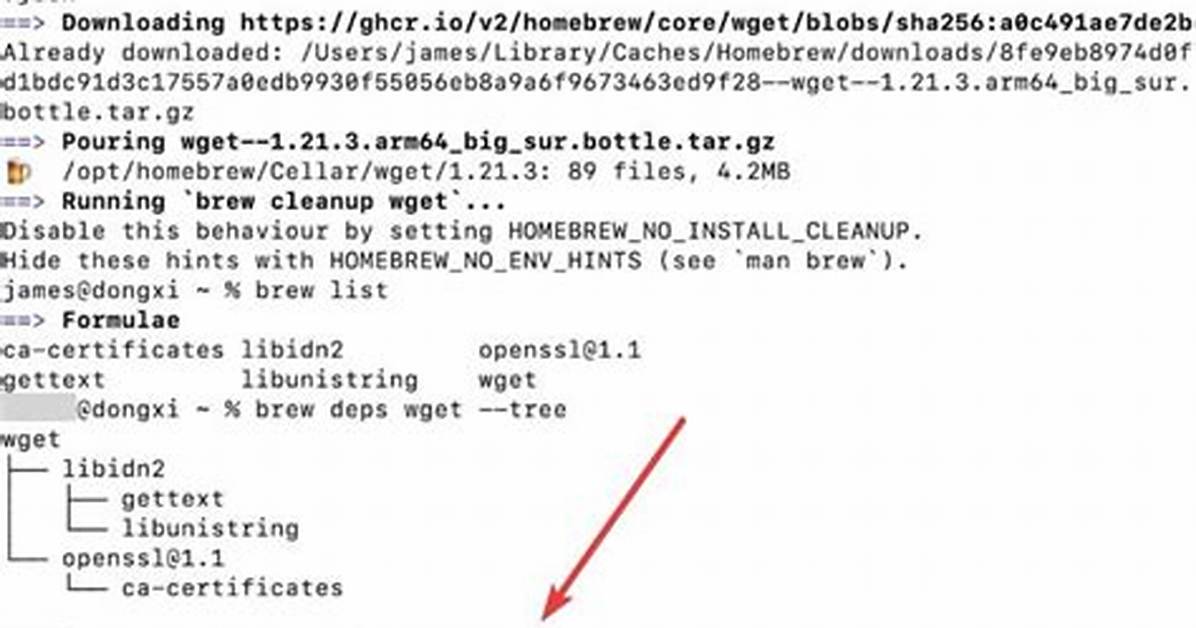 Using Homebrew How Do I Remove Some Specific Versions but Not All Old Versions