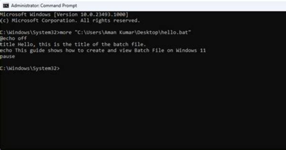 Using Parameters in Batch Files at Windows Command Line
