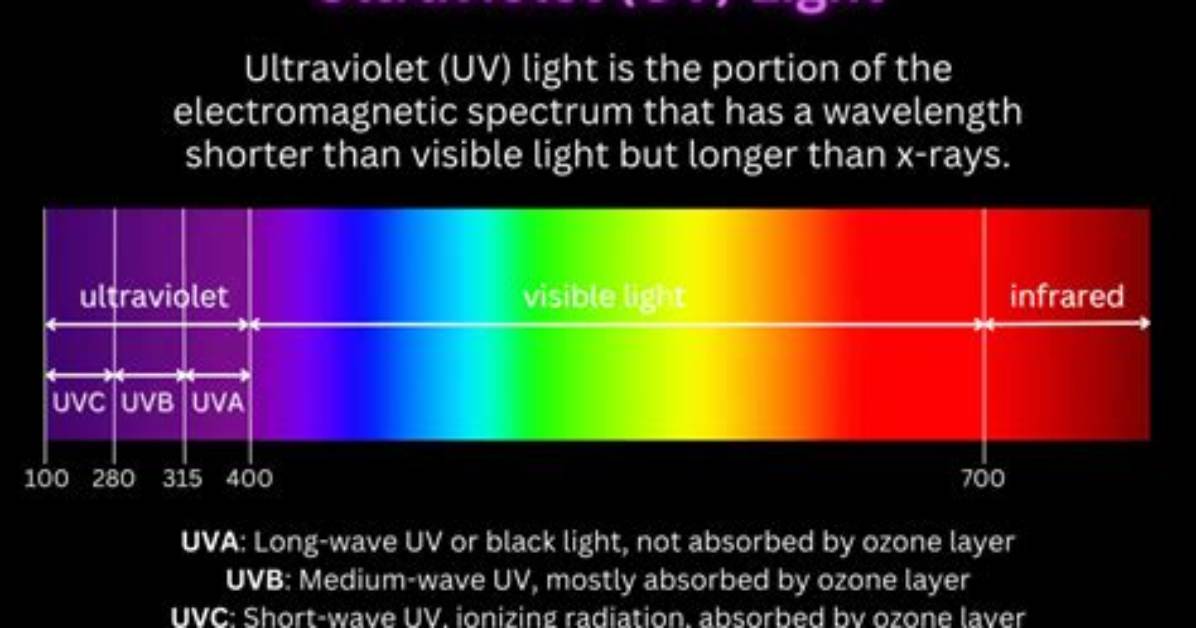 Uv Light - All About Vision