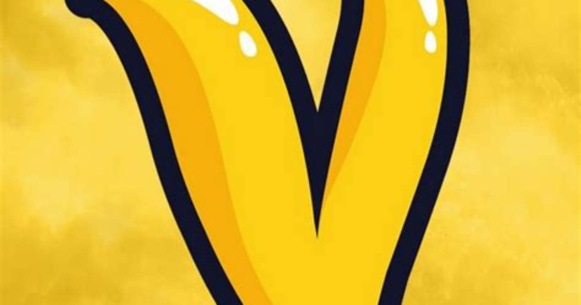 Vadact Net Worth