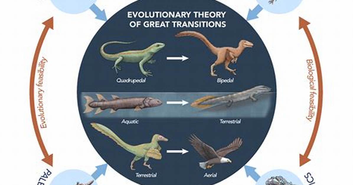 Valroant Changes: Exploring the Evolution of the Game