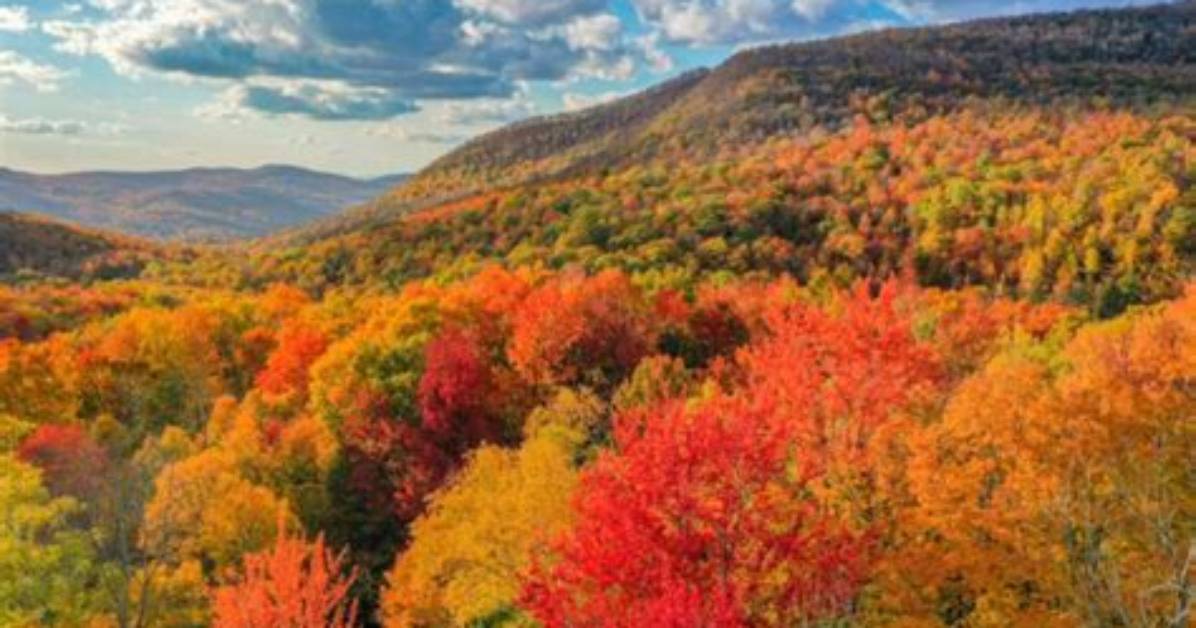 Vermont