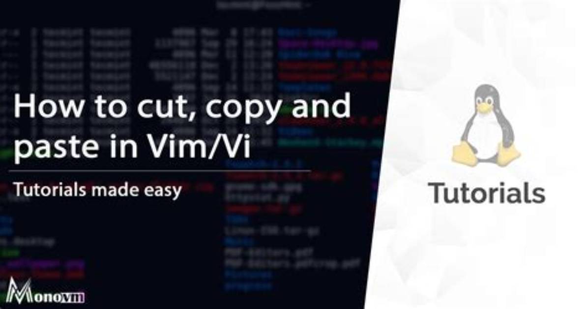 Vi/Vim Editor, Copy a Block (Not Usual Action)