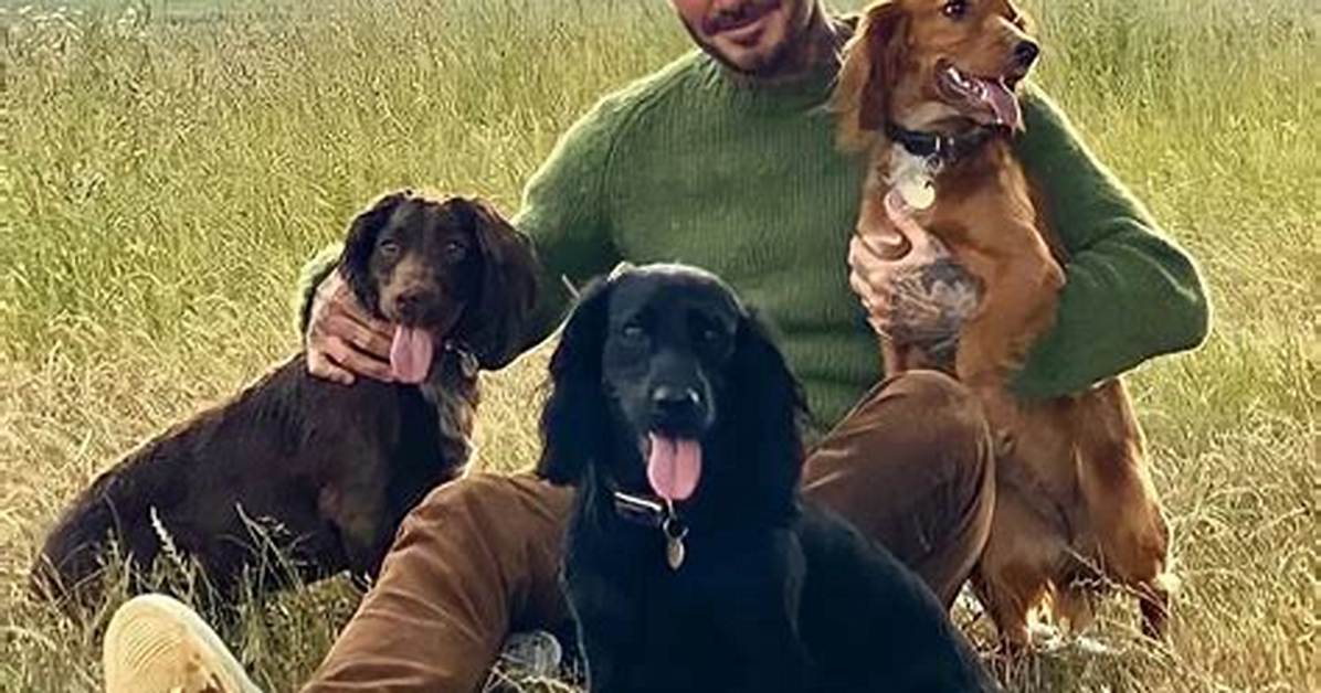 Victoria Beckham Pets - Celebrity Pets